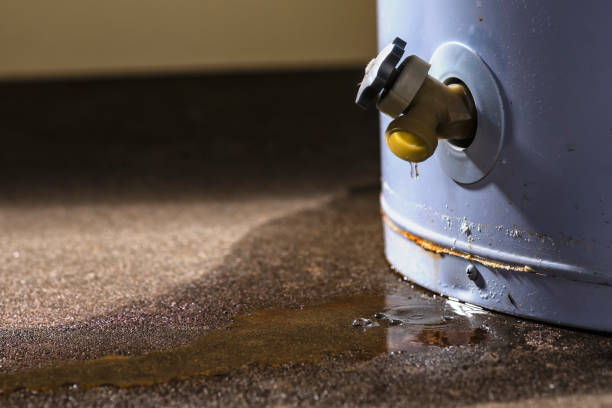 Best 24-hour water damage restoration  in Curtisville, PA