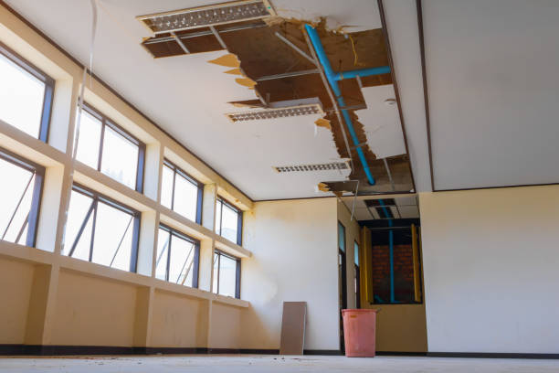 Best Water damage restoration near me  in Curtisville, PA
