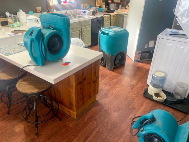 Best Mold removal after water damage  in Curtisville, PA