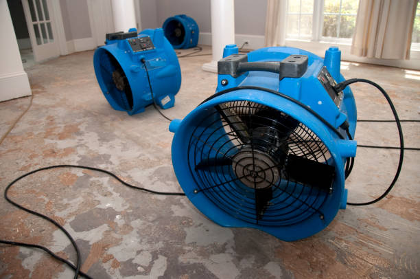 Best Flood restoration services  in Curtisville, PA
