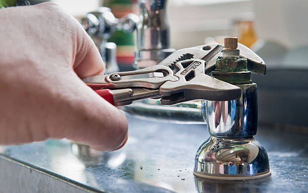 Best Local water damage restoration  in Curtisville, PA