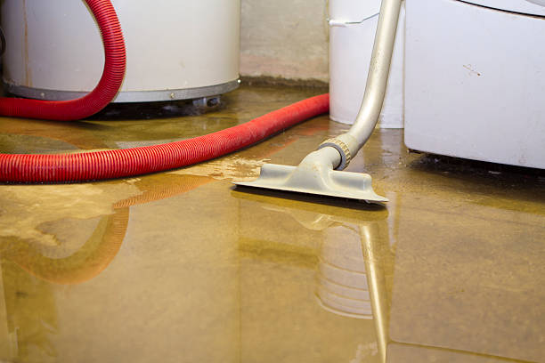 Best Water damage cleanup near me  in Curtisville, PA