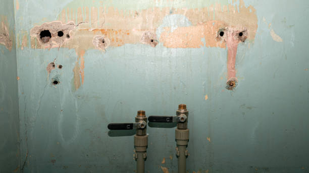 Best Carpet water damage restoration  in Curtisville, PA