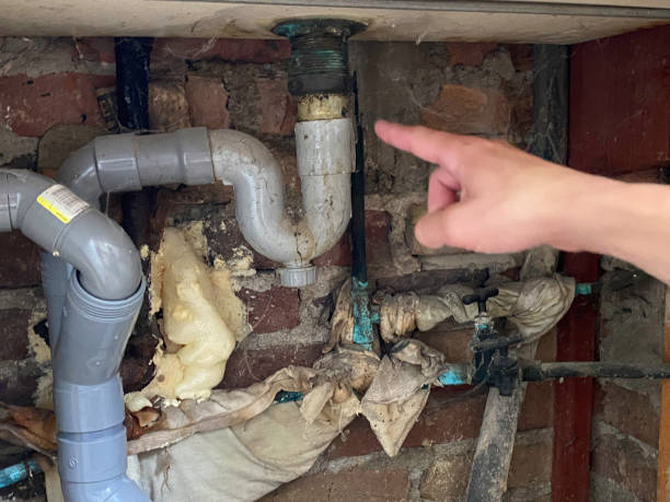 Best Flood damage cleanup  in Curtisville, PA
